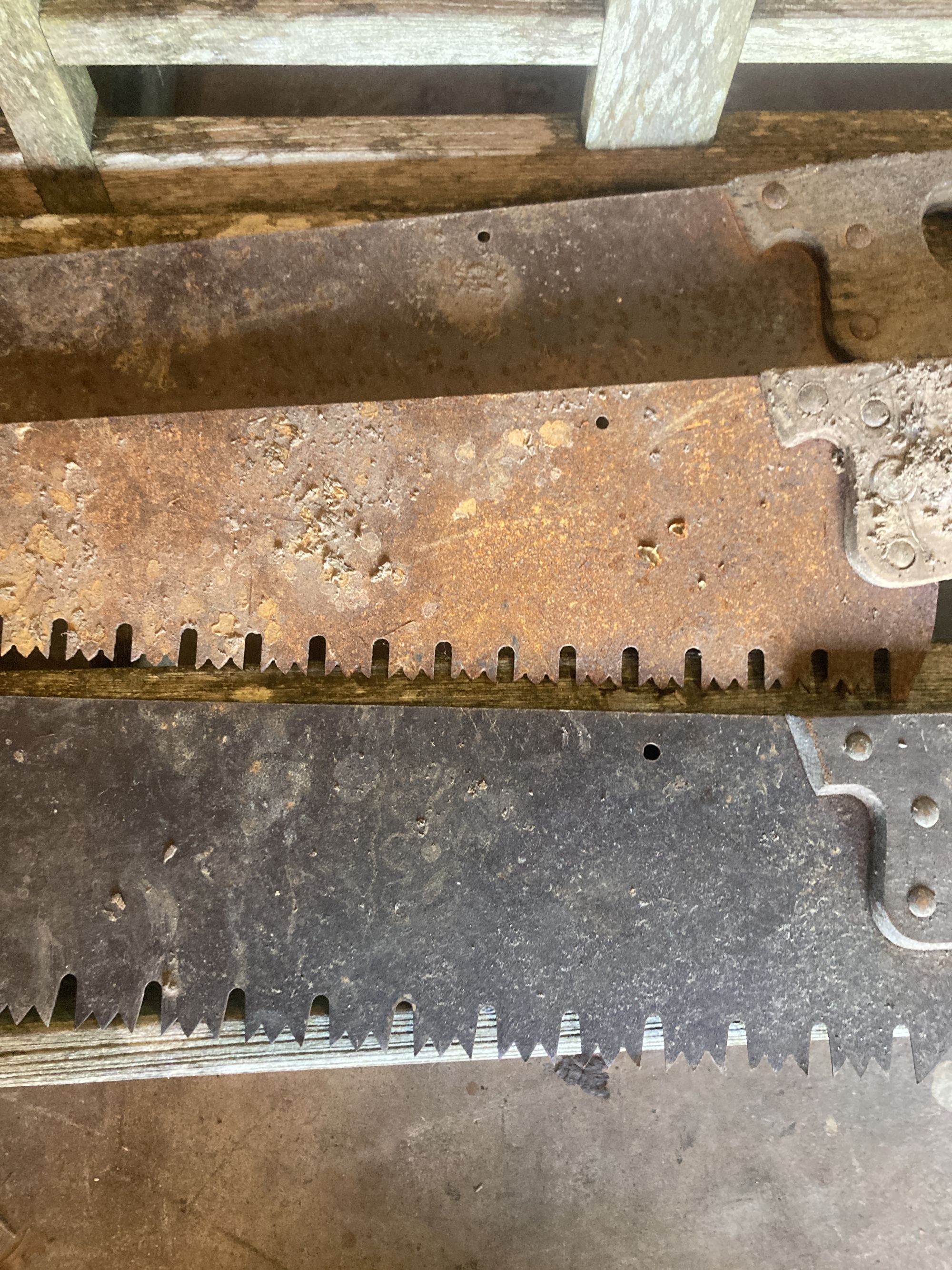Three vintage hand saws, largest 120cm